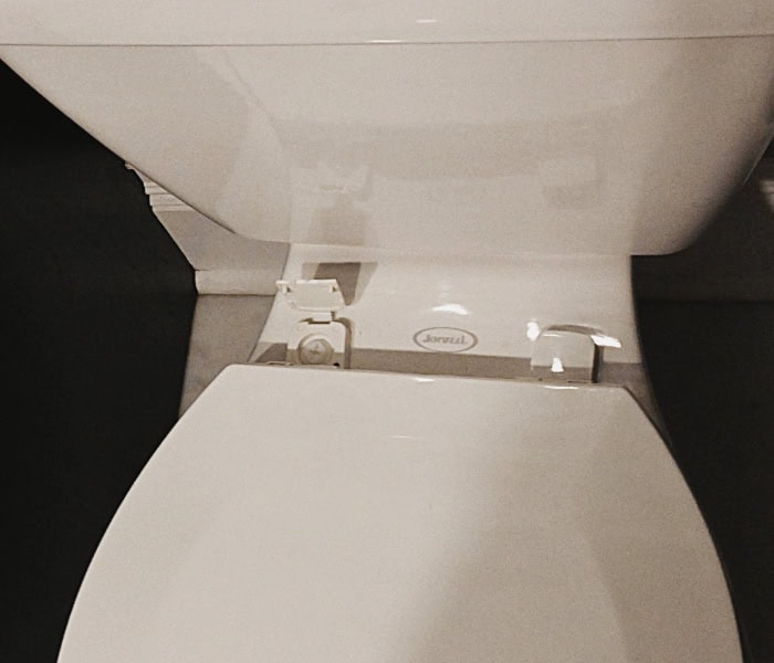 closeup of plastic screws that hold on the toilet seat and lid